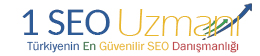 İstanbul'un En İyi Kurumsal SEO Uzmanı Demo1